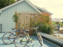 Bicycles for touring Solomons Island