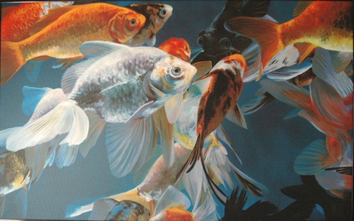 Kio Fish Painting by Carol Pennock