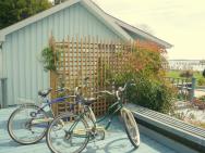 Bicycles for touring Solomons Island