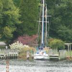 "Pure Joy" docked at BCI 
Photo by Tim J Dull