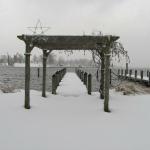 White Christmas at the Dock
Photo by Margie Coe