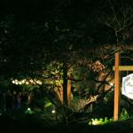 Lit up for nighttime